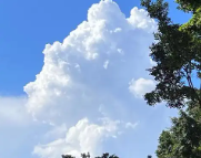 宁德天气预报,宁德7天天气预报,宁德15天天气预报,宁德天气查询